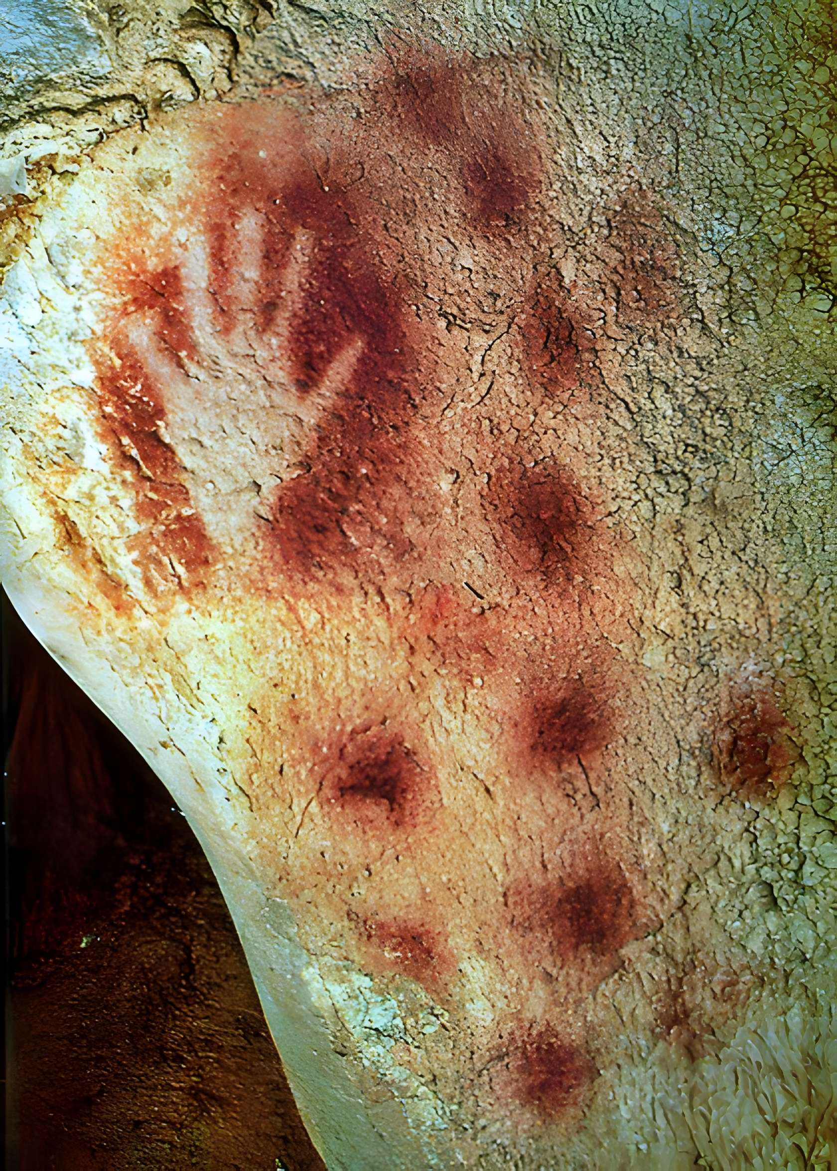 Grotte du Pech Merle à Cabrerets 