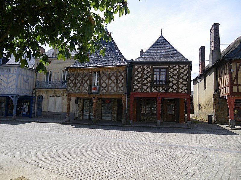 Maison, 10 Rue d'Anjou à La Guerche-de-Bretagne