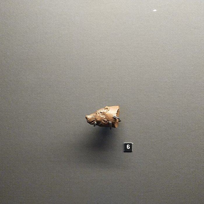 Photo de Site archéologique des grottes dIsturits, dOxocelhaya et dErberua également sur commune de Saint-Martin-dArberoue