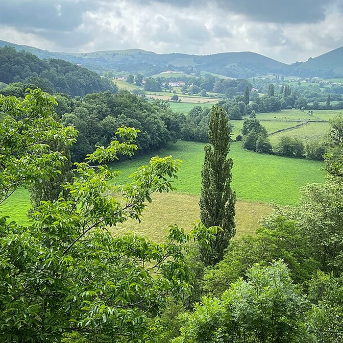 Photo de Site archéologique des grottes dIsturits, dOxocelhaya et dErberua également sur commune de Saint-Martin-dArberoue