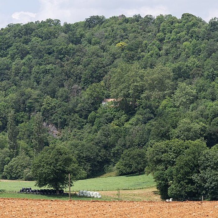 Photo de Site archéologique des grottes dIsturits, dOxocelhaya et dErberua également sur commune de Saint-Martin-dArberoue