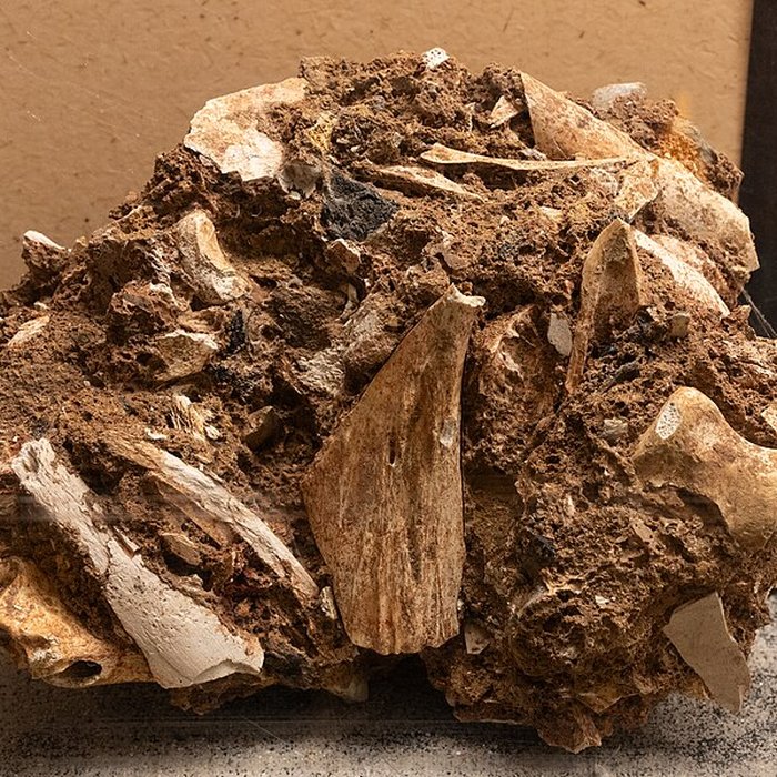 Photo de Site archéologique des grottes dIsturits, dOxocelhaya et dErberua également sur commune de Saint-Martin-dArberoue