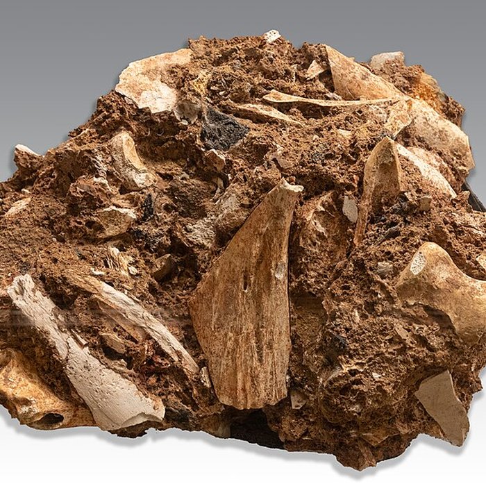 Photo de Site archéologique des grottes dIsturits, dOxocelhaya et dErberua également sur commune de Saint-Martin-dArberoue