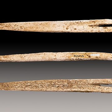 Grottes dIsturitz et dOxocelhaya à Saint-Martin-dArberoue