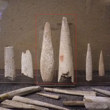 Grottes dIsturitz et dOxocelhaya à Saint-Martin-dArberoue