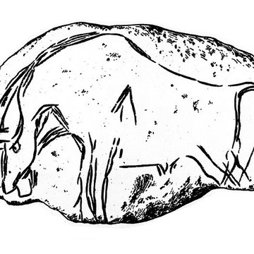 Grottes dIsturitz et dOxocelhaya à Saint-Martin-dArberoue