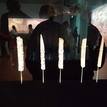 Grottes dIsturitz et dOxocelhaya à Saint-Martin-dArberoue