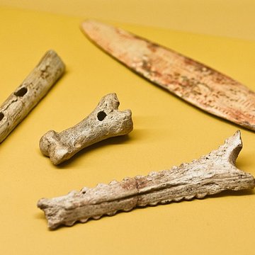 Grottes dIsturitz et dOxocelhaya à Saint-Martin-dArberoue