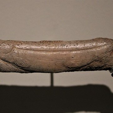 Grottes dIsturitz et dOxocelhaya à Saint-Martin-dArberoue