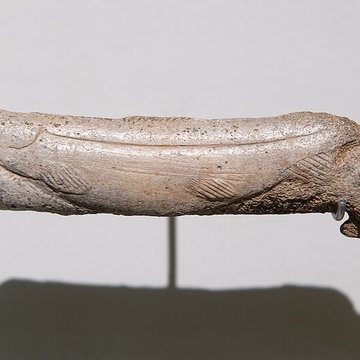 Grottes dIsturitz et dOxocelhaya à Saint-Martin-dArberoue