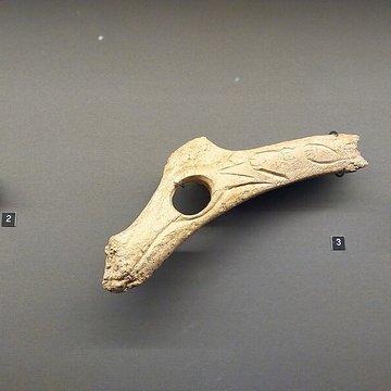 Grottes dIsturitz et dOxocelhaya à Saint-Martin-dArberoue