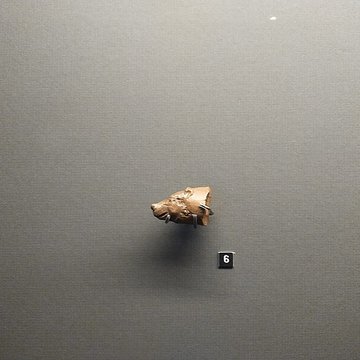 Grottes dIsturitz et dOxocelhaya à Saint-Martin-dArberoue