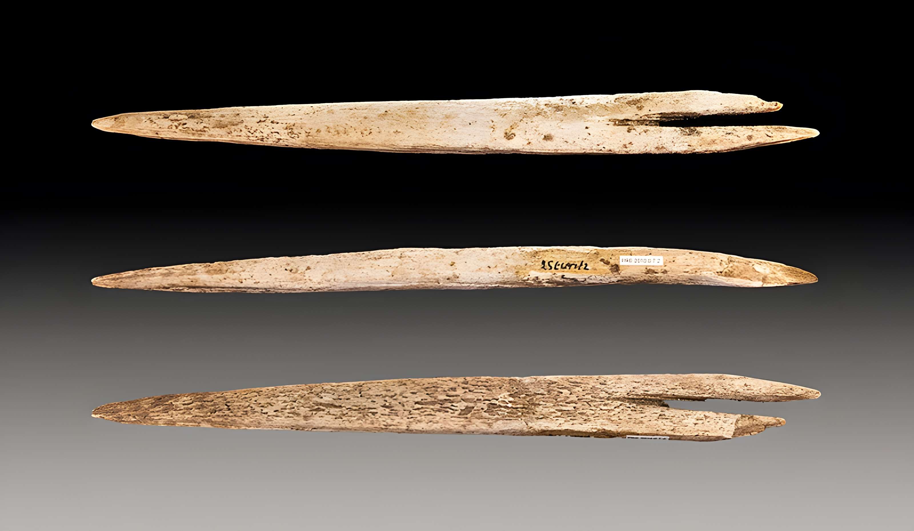 Grottes d'Isturitz et d'Oxocelhaya à Saint-Martin-d'Arberoue