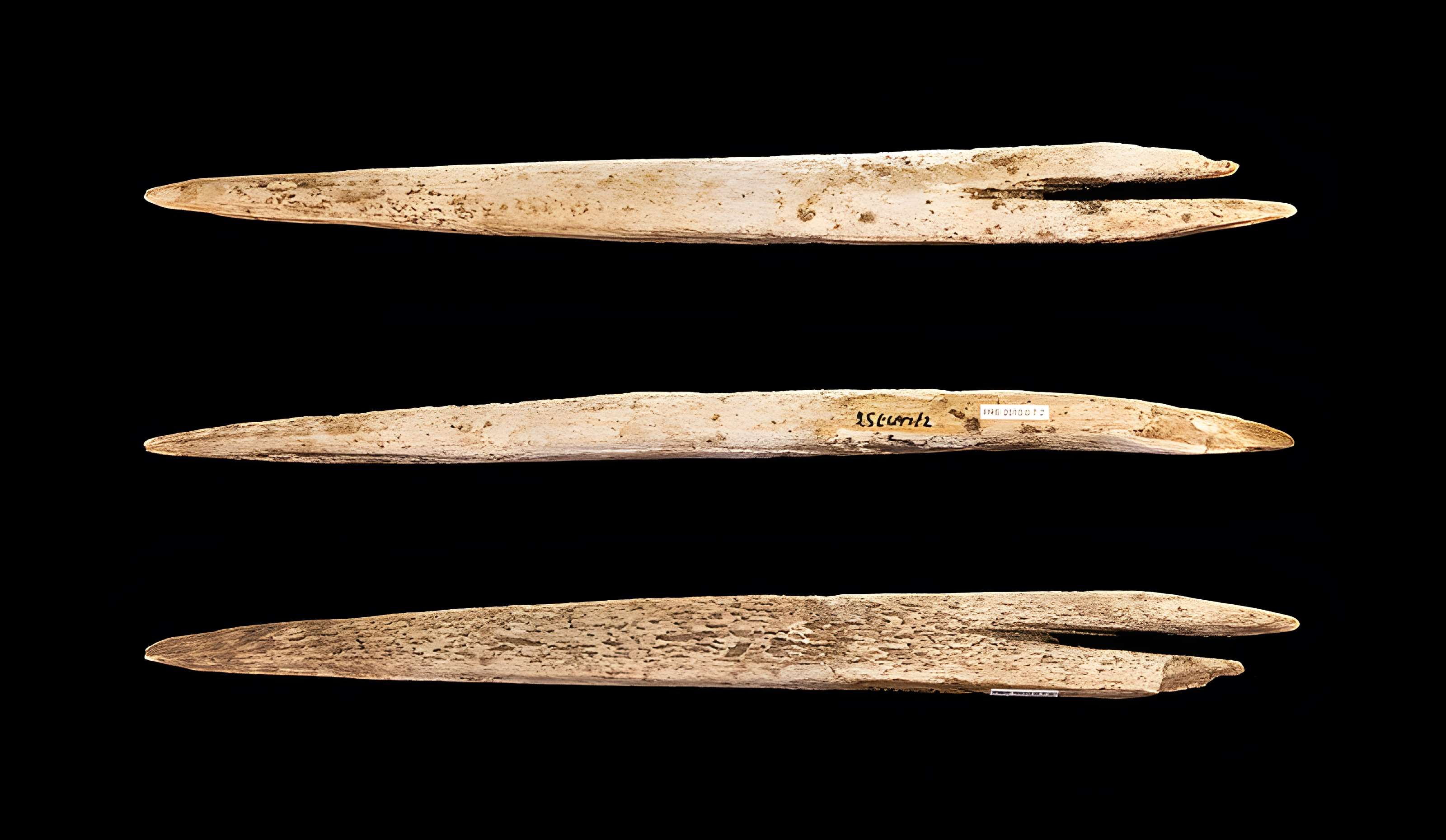 Grottes d'Isturitz et d'Oxocelhaya à Saint-Martin-d'Arberoue