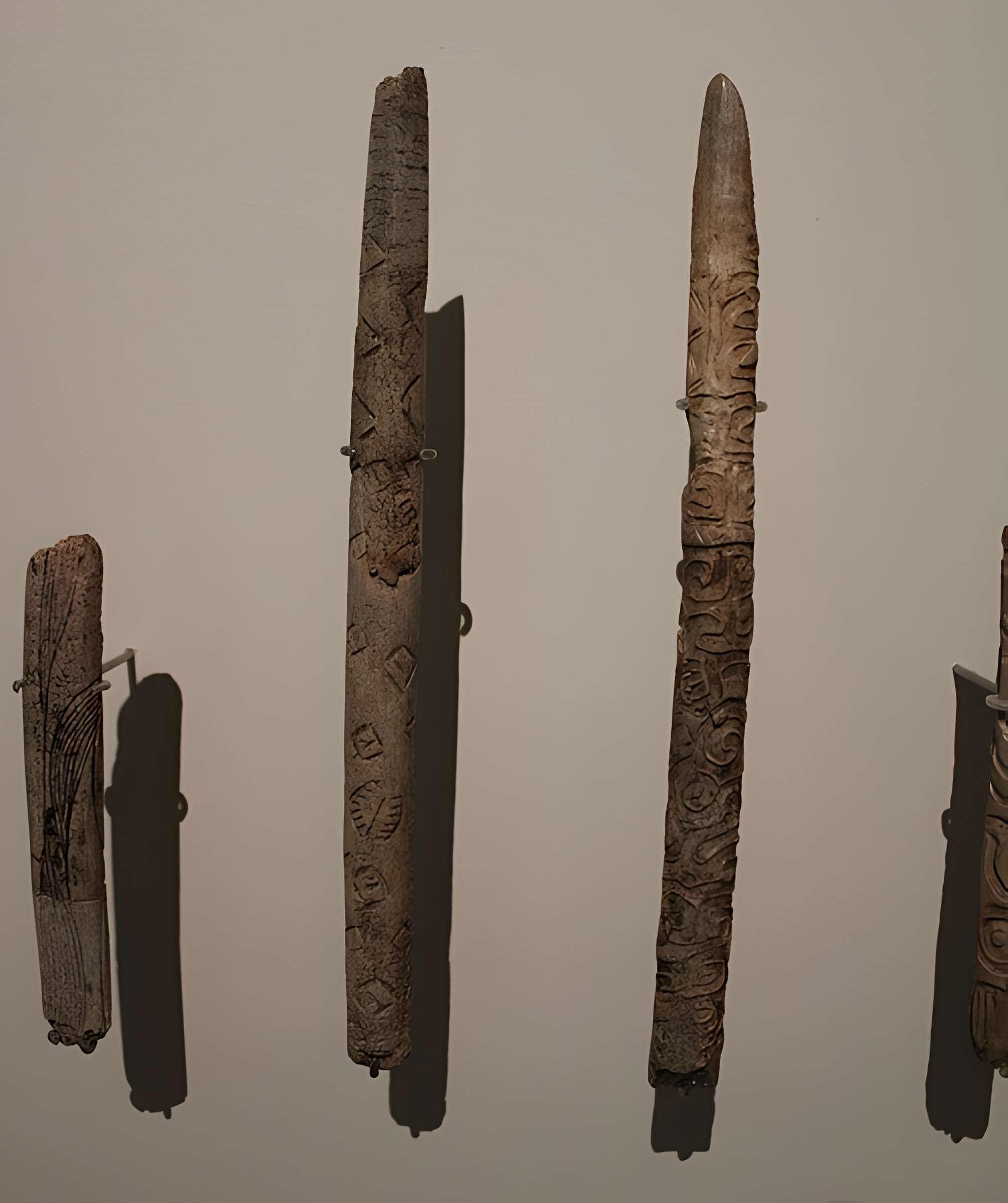 Grottes d'Isturitz et d'Oxocelhaya à Saint-Martin-d'Arberoue