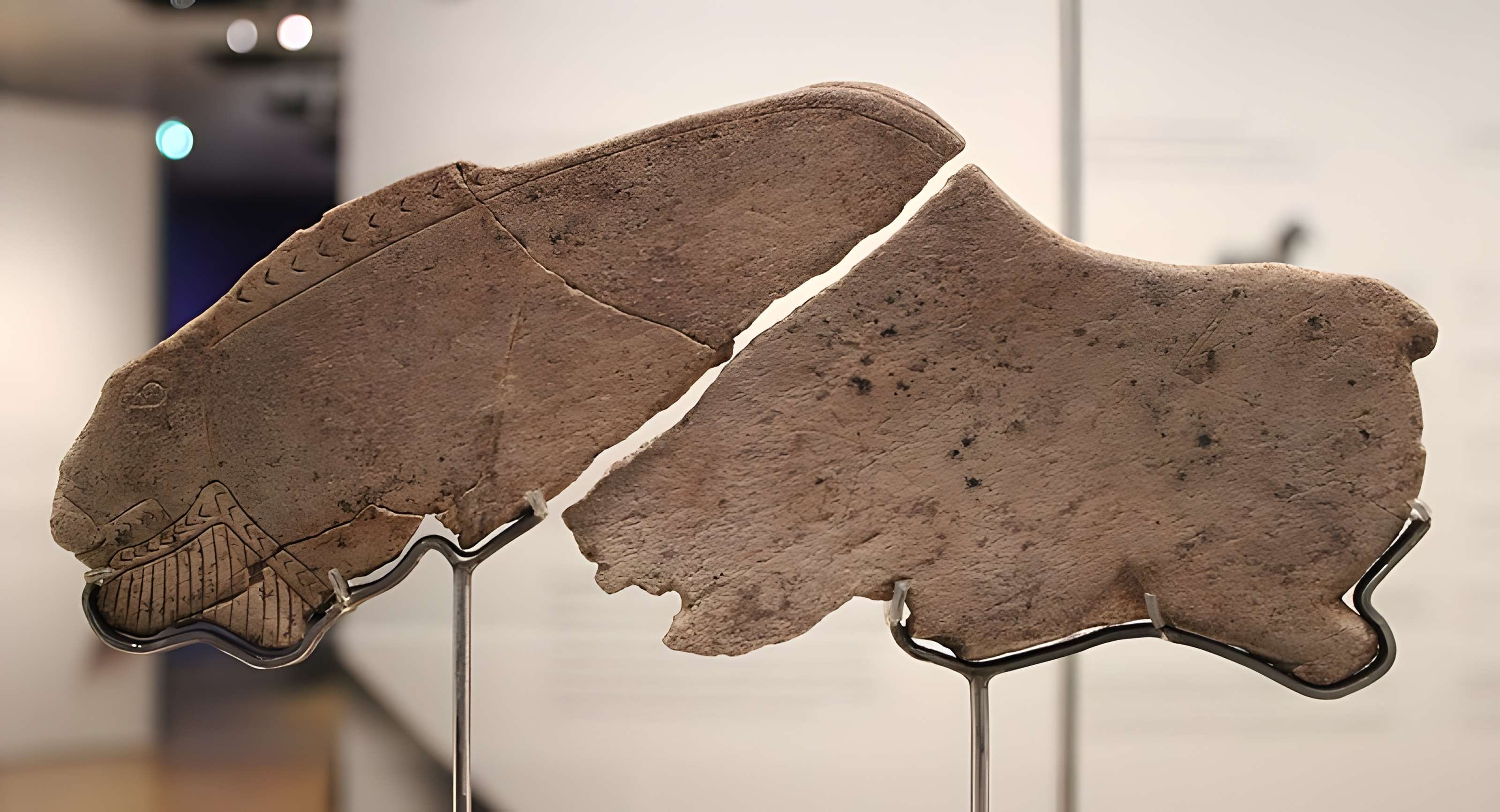 Grottes d'Isturitz et d'Oxocelhaya à Saint-Martin-d'Arberoue