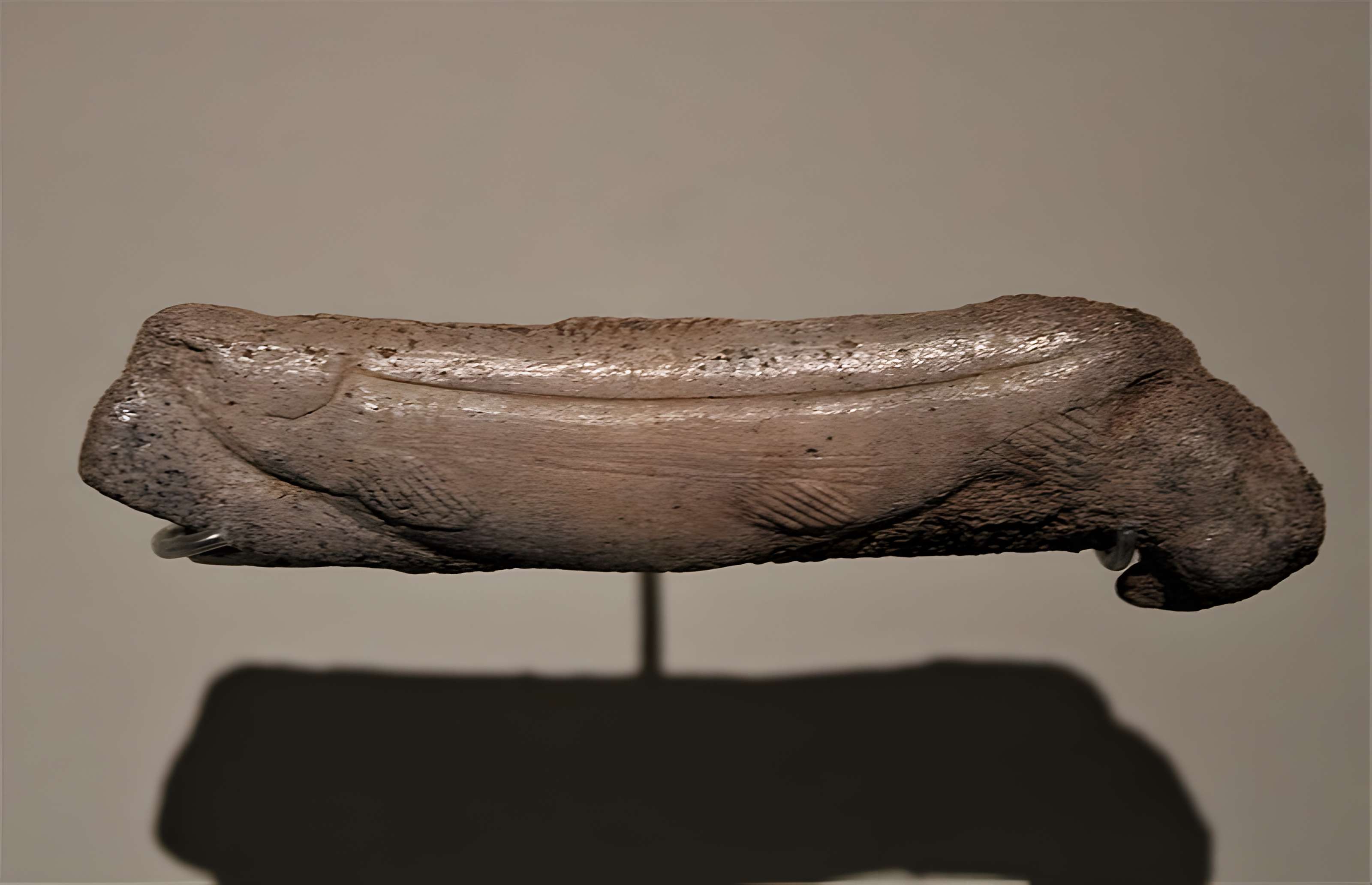 Grottes d'Isturitz et d'Oxocelhaya à Saint-Martin-d'Arberoue