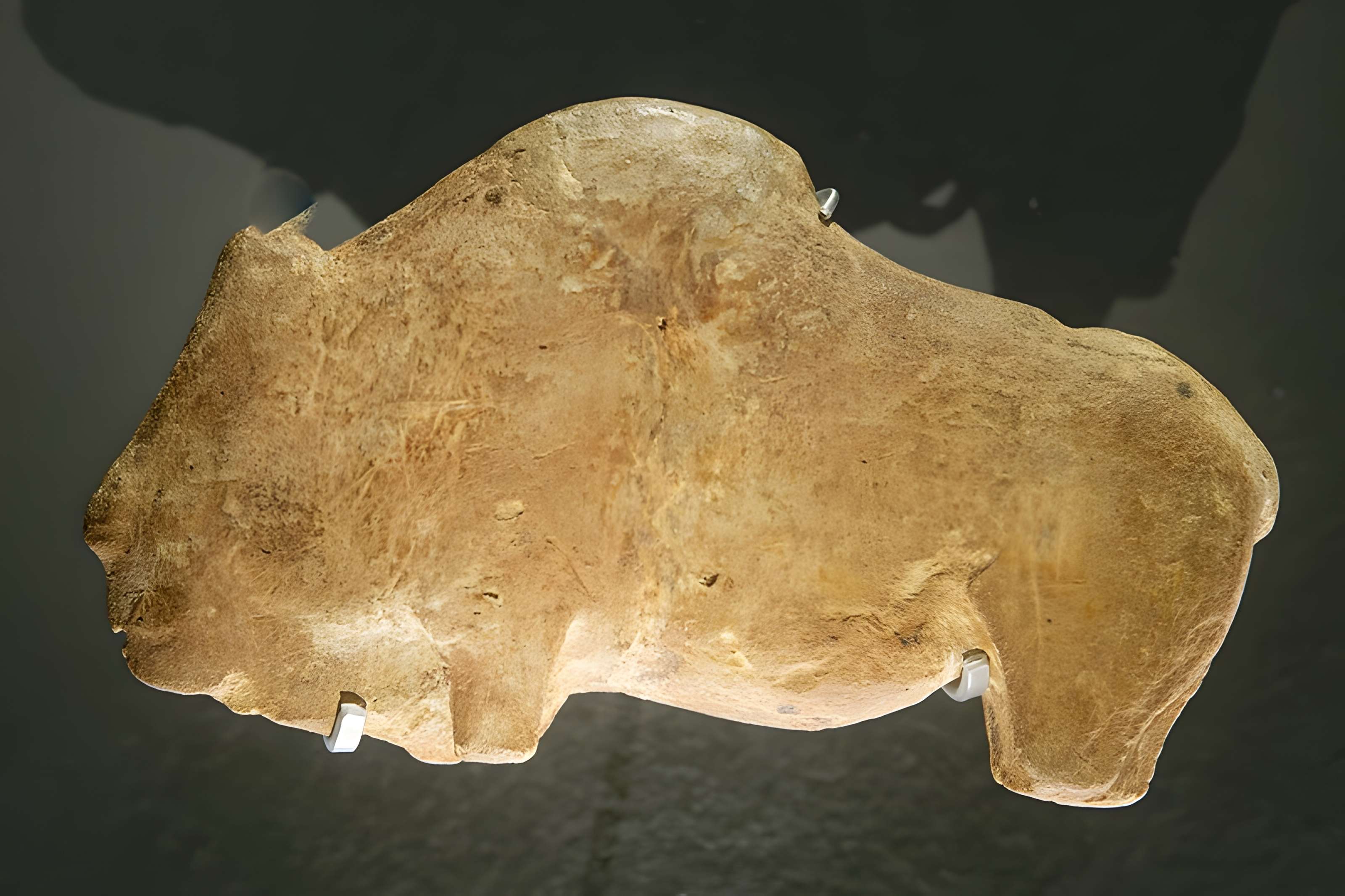 Grottes d'Isturitz et d'Oxocelhaya à Saint-Martin-d'Arberoue