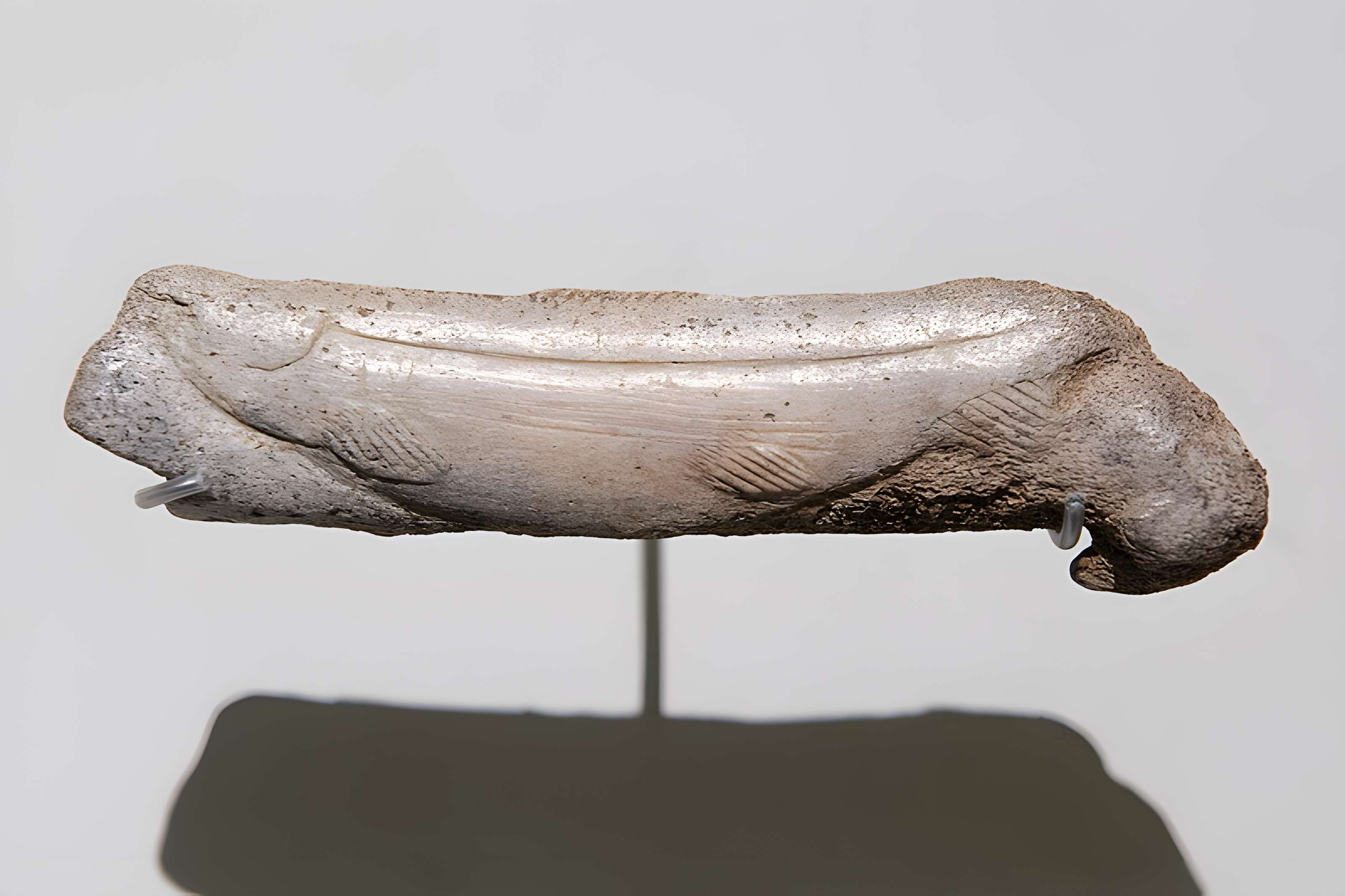 Grottes d'Isturitz et d'Oxocelhaya à Saint-Martin-d'Arberoue