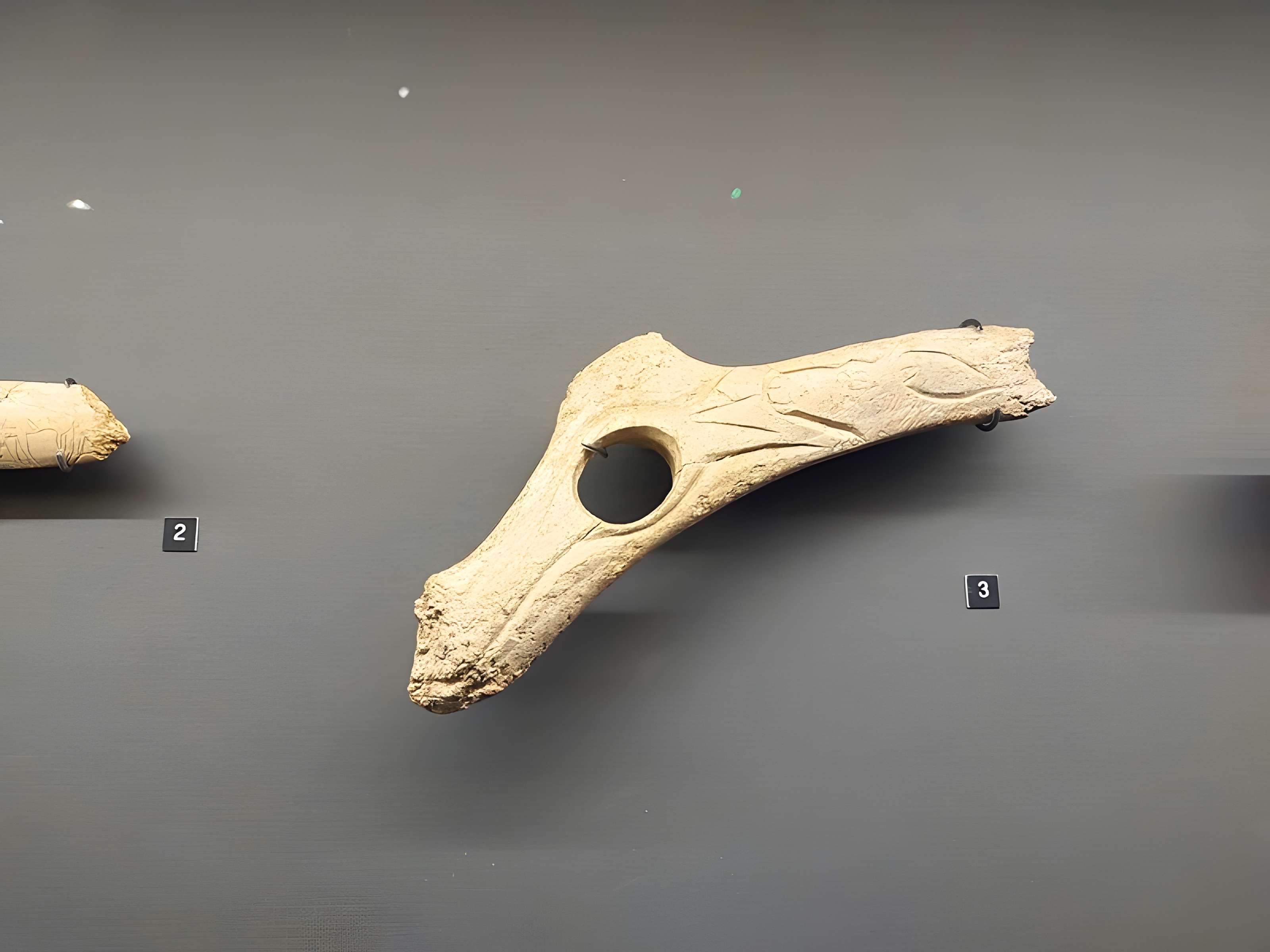 Grottes d'Isturitz et d'Oxocelhaya à Saint-Martin-d'Arberoue