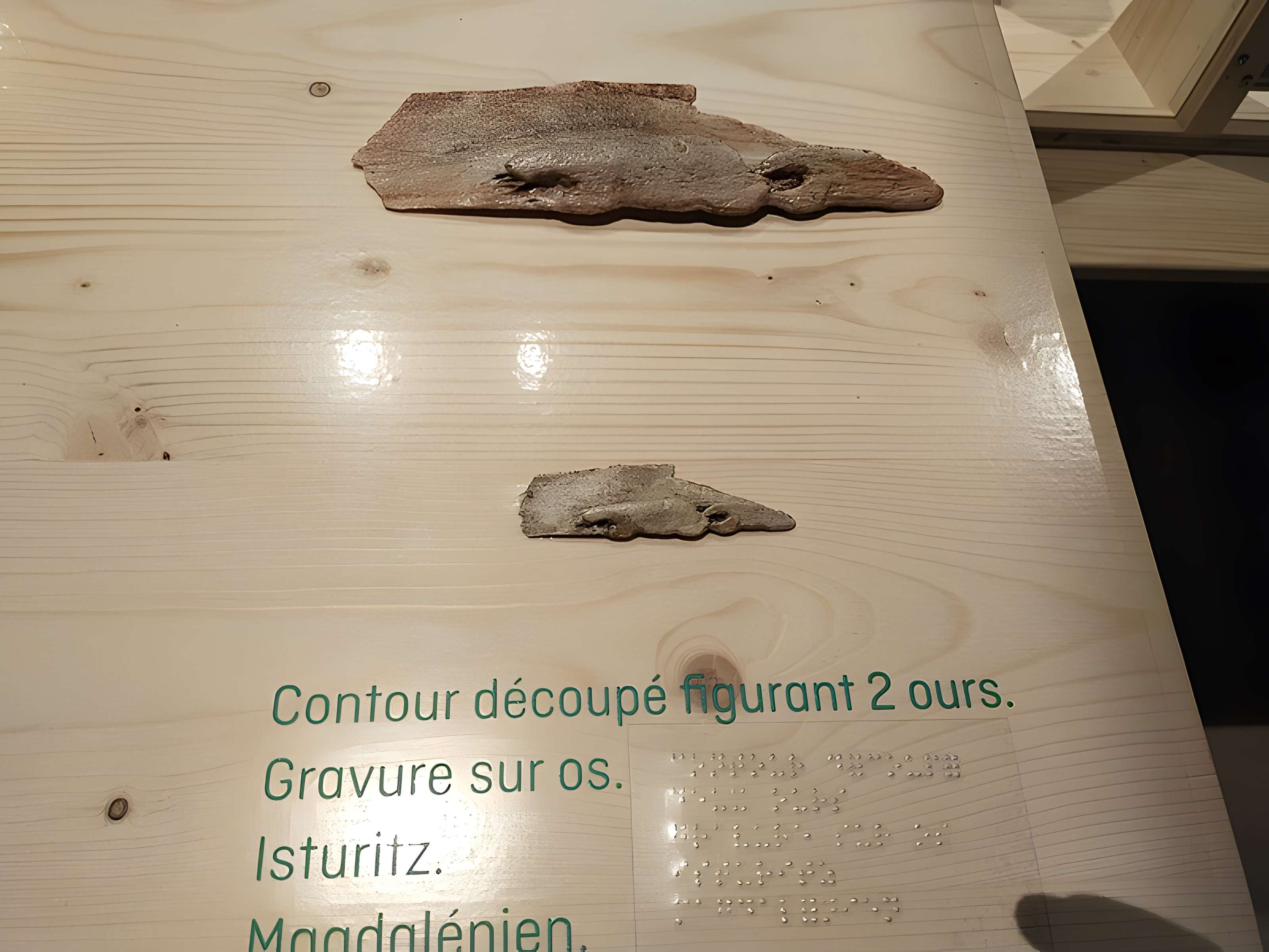 Grottes d'Isturitz et d'Oxocelhaya à Saint-Martin-d'Arberoue