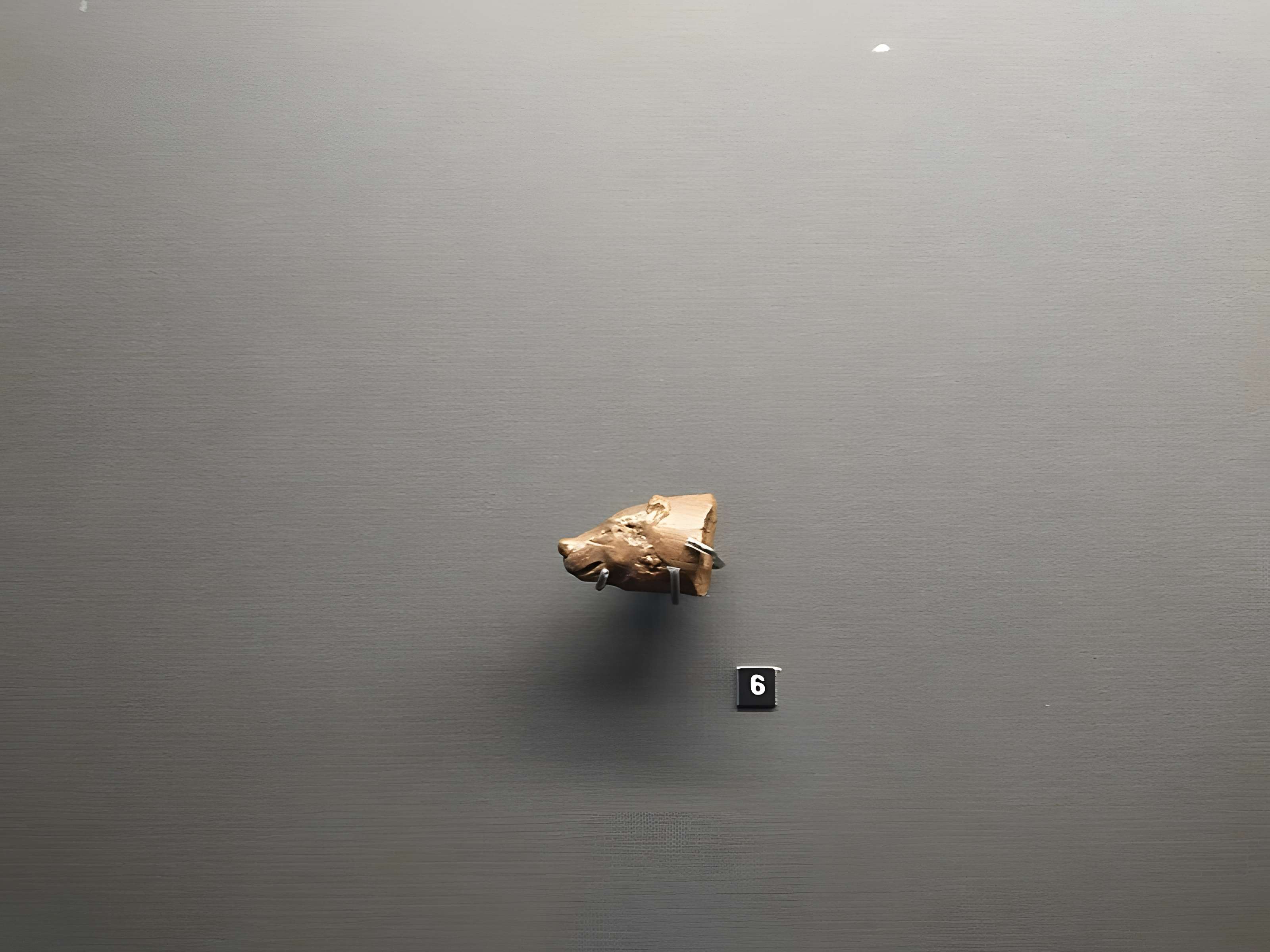 Grottes d'Isturitz et d'Oxocelhaya à Saint-Martin-d'Arberoue