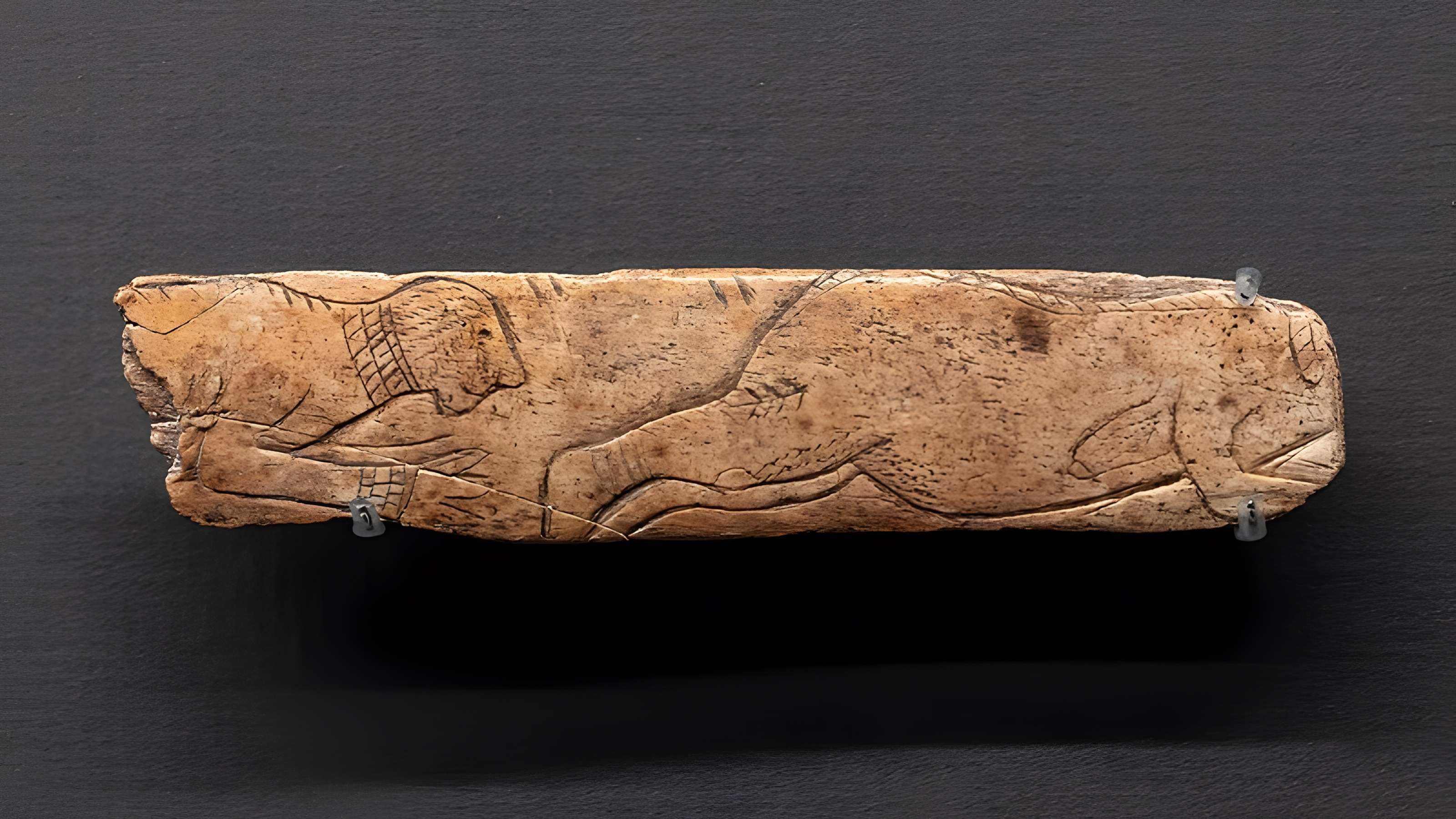 Grottes d'Isturitz et d'Oxocelhaya à Saint-Martin-d'Arberoue