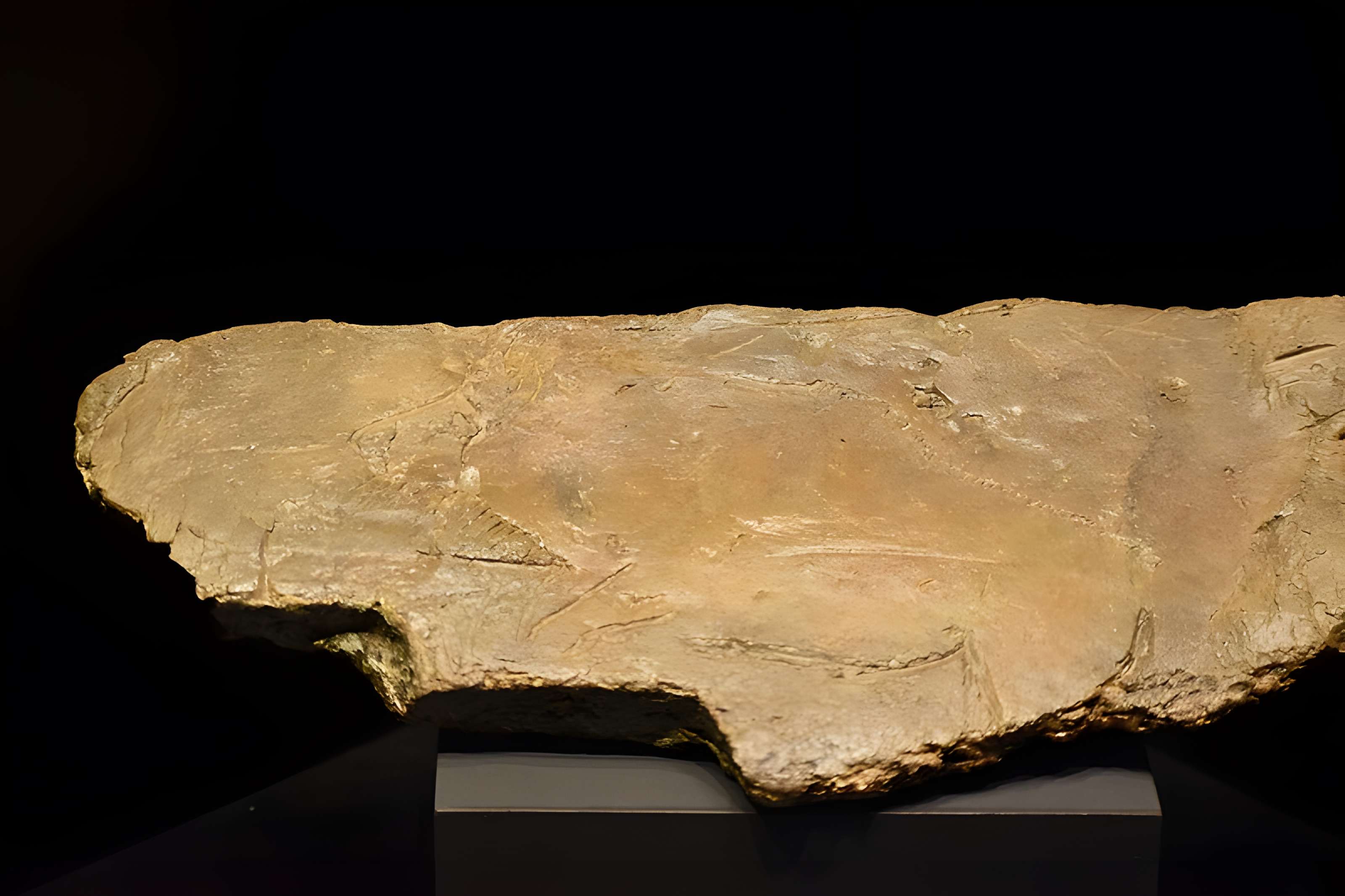 Grottes d'Isturitz et d'Oxocelhaya à Saint-Martin-d'Arberoue