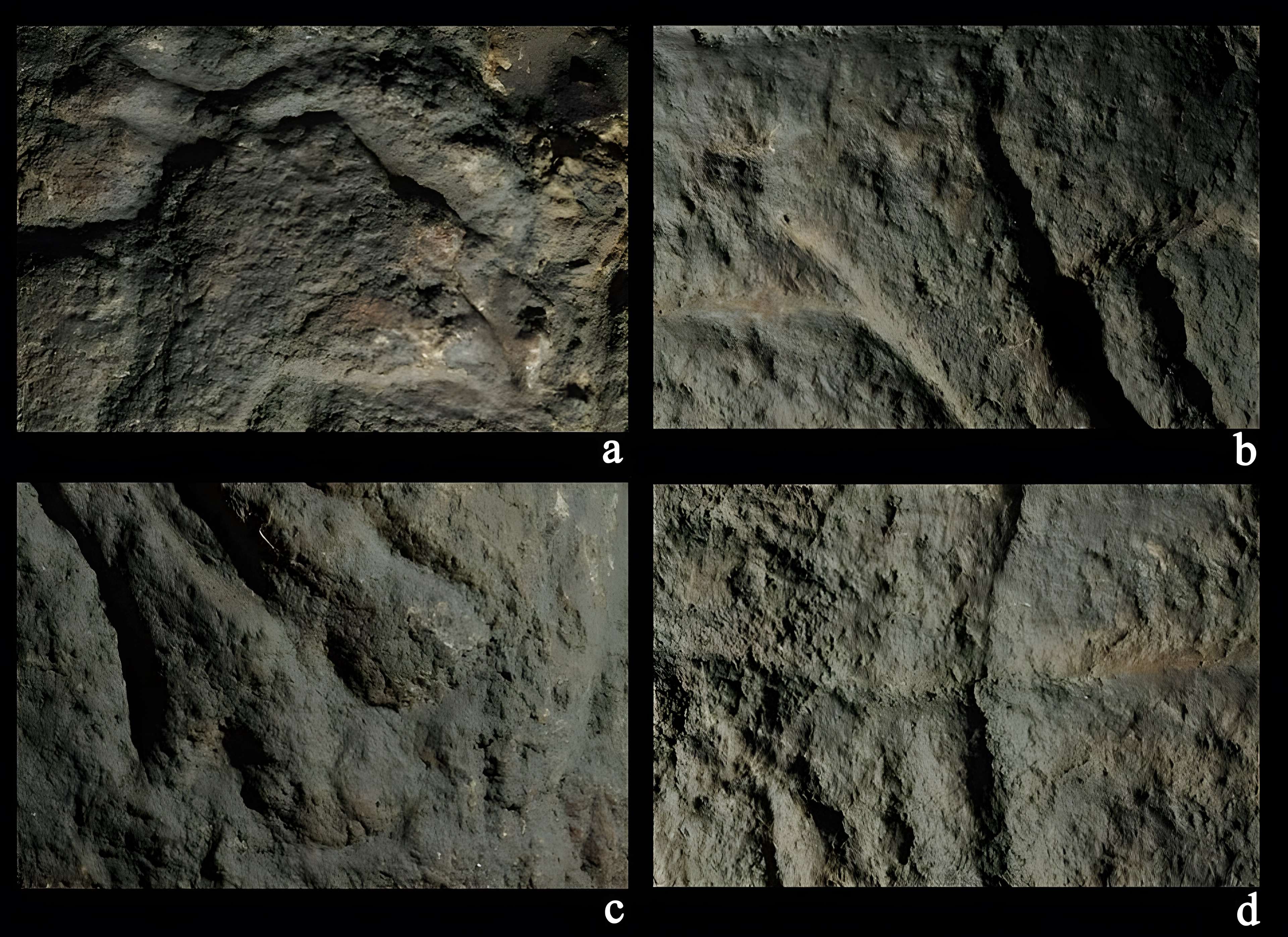 Grottes d'Isturitz et d'Oxocelhaya à Saint-Martin-d'Arberoue