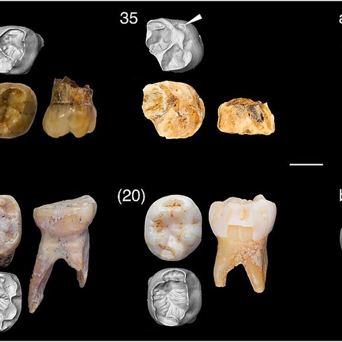 Photo de Grottes préhistoriques dArcy-sur-Cure