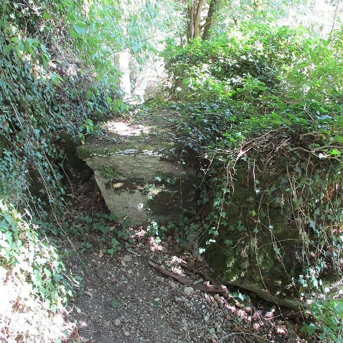 Photo de Grottes préhistoriques dArcy-sur-Cure