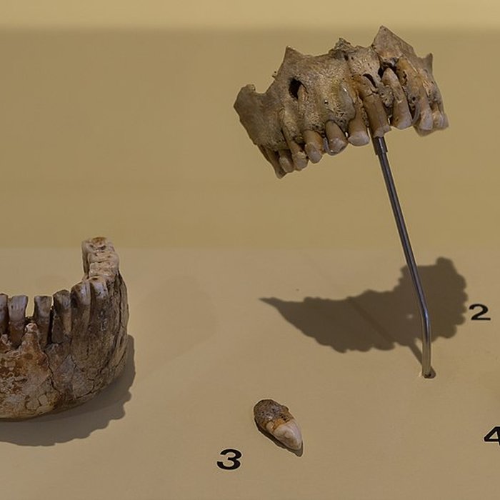 Photo de Grottes préhistoriques dArcy-sur-Cure
