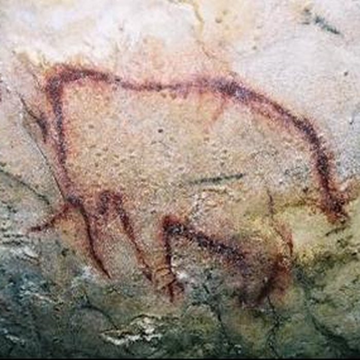 Photo de Grottes préhistoriques dArcy-sur-Cure