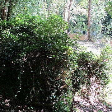 Grottes préhistoriques dArcy-sur-Cure