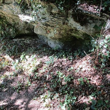 Grottes préhistoriques dArcy-sur-Cure