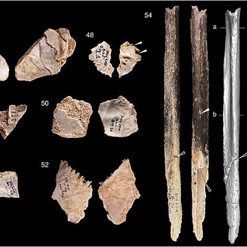 Grottes préhistoriques dArcy-sur-Cure