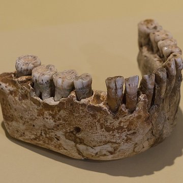 Grottes préhistoriques dArcy-sur-Cure