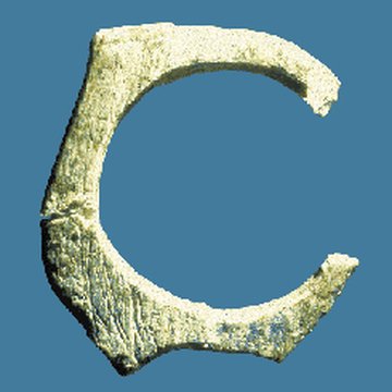 Grottes préhistoriques dArcy-sur-Cure