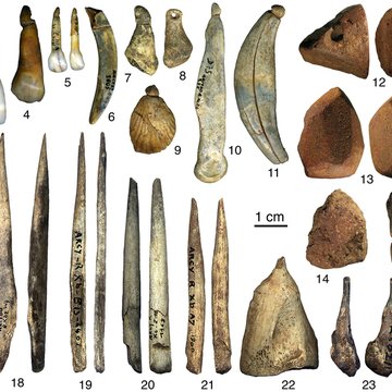 Grottes préhistoriques dArcy-sur-Cure