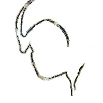 Grottes préhistoriques dArcy-sur-Cure