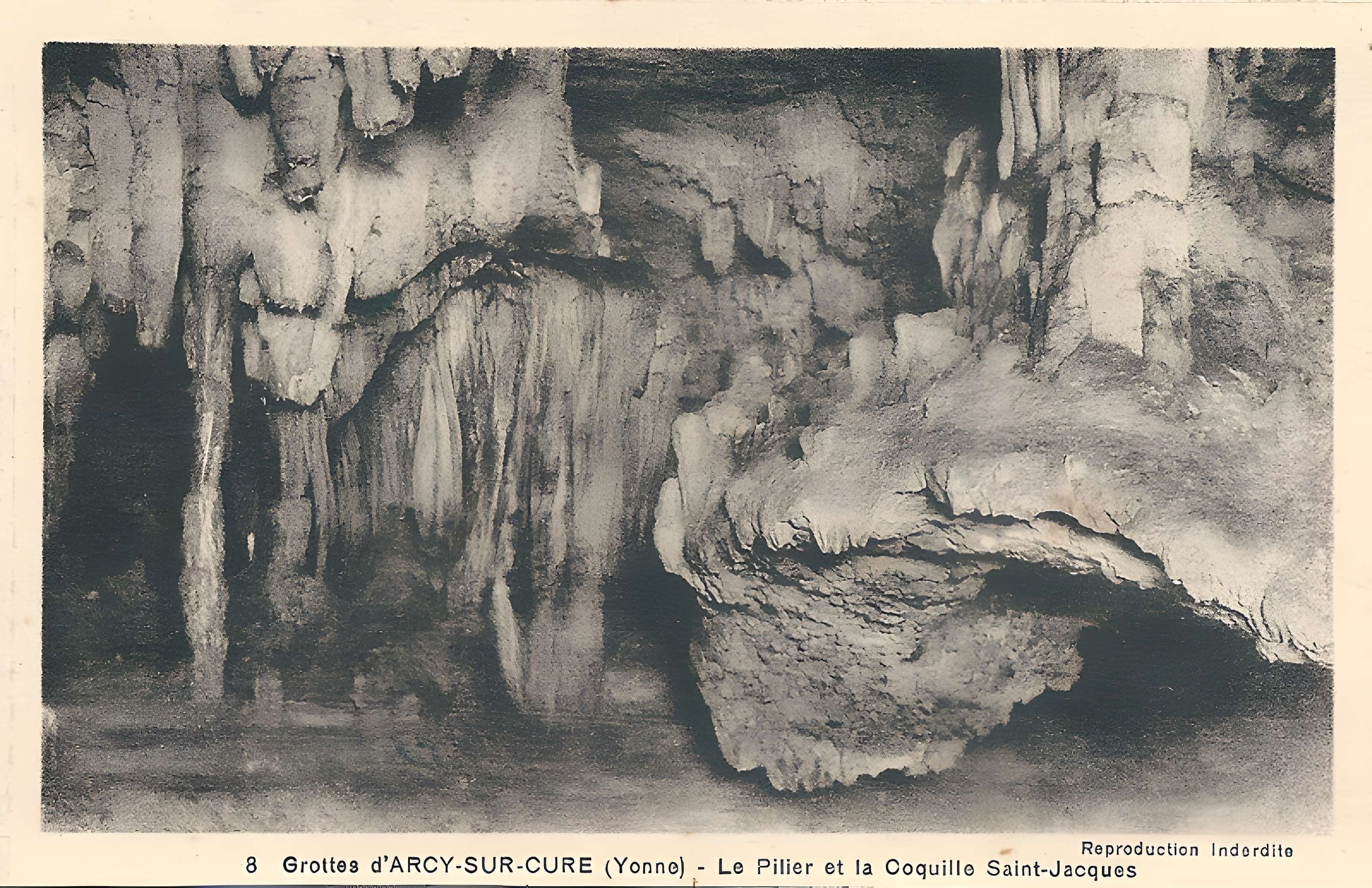 Grottes préhistoriques d'Arcy-sur-Cure