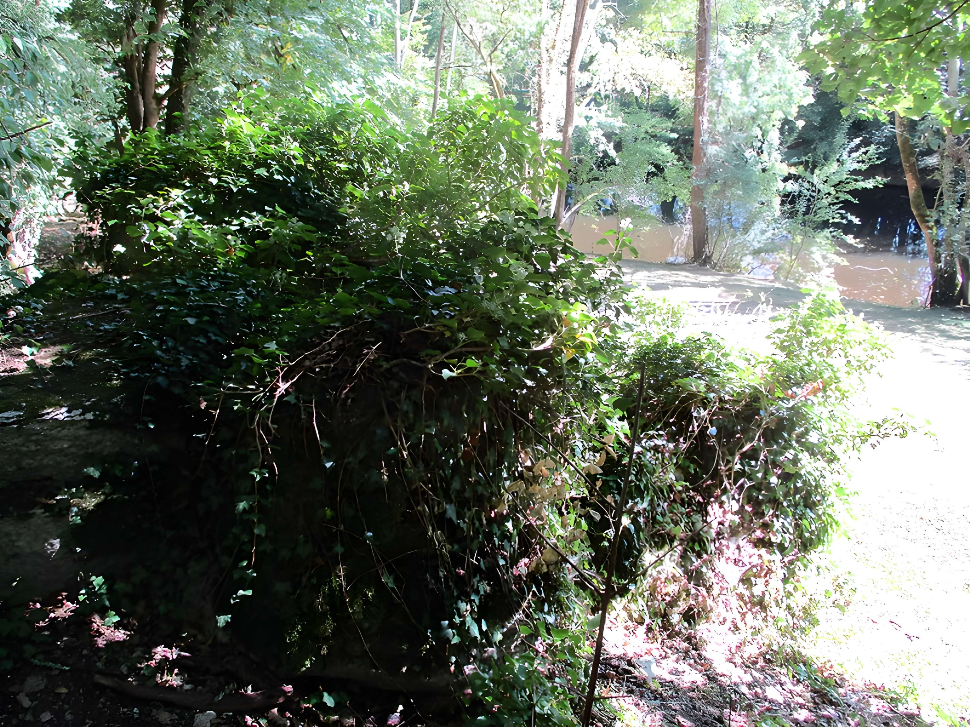 Grottes préhistoriques d'Arcy-sur-Cure