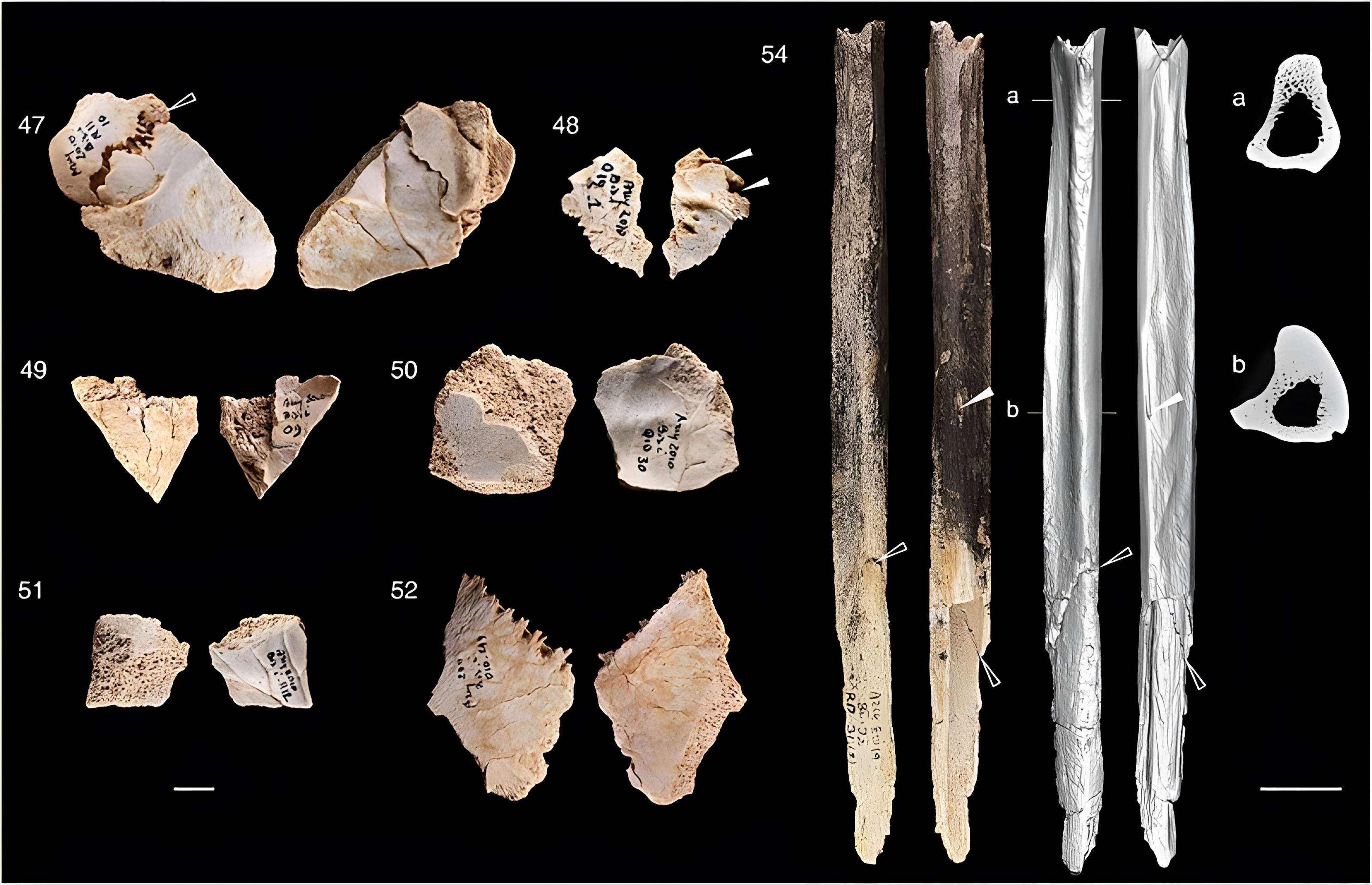 Grottes préhistoriques d'Arcy-sur-Cure