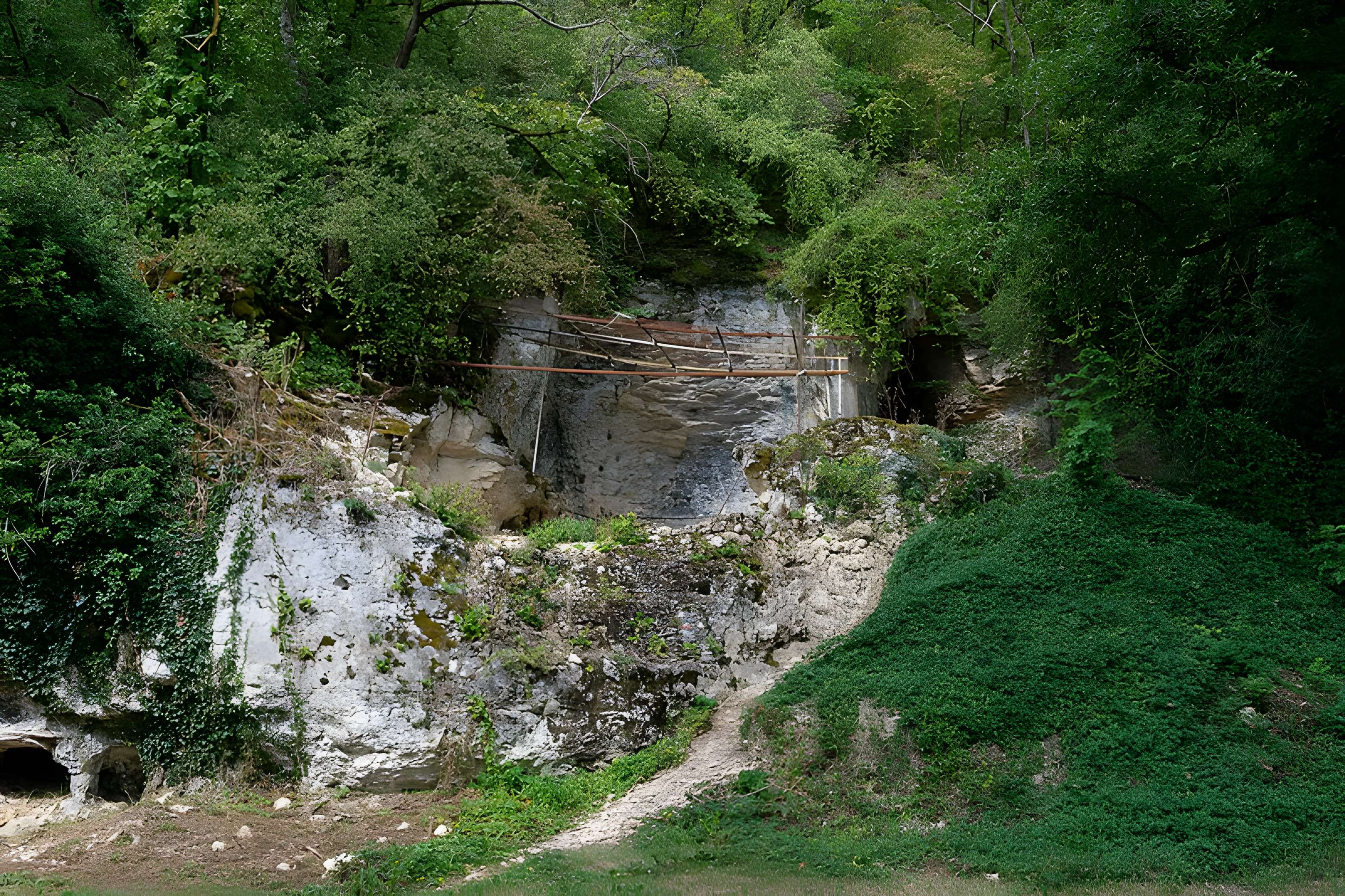 Grottes préhistoriques d'Arcy-sur-Cure
