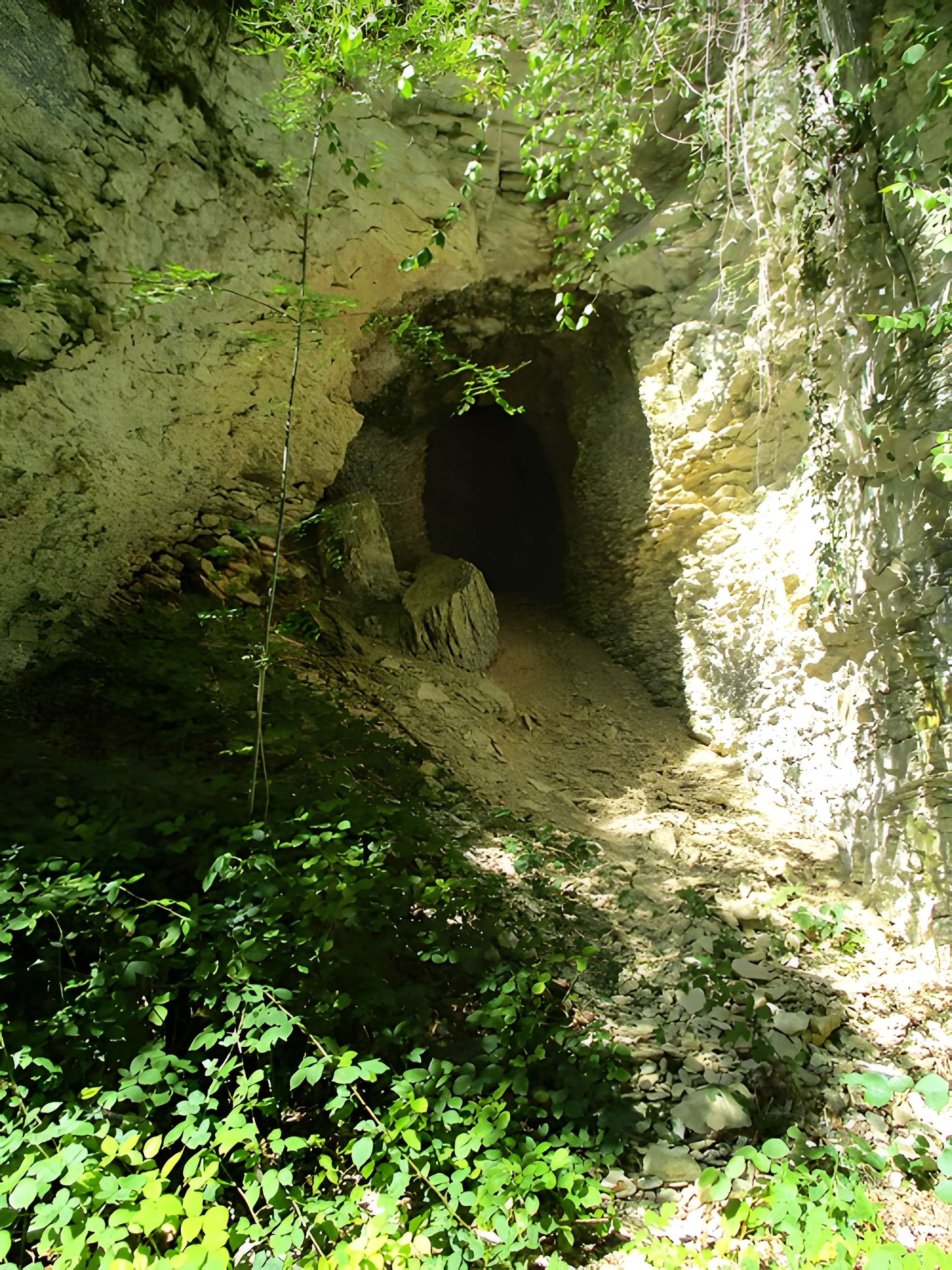 Grottes préhistoriques d'Arcy-sur-Cure