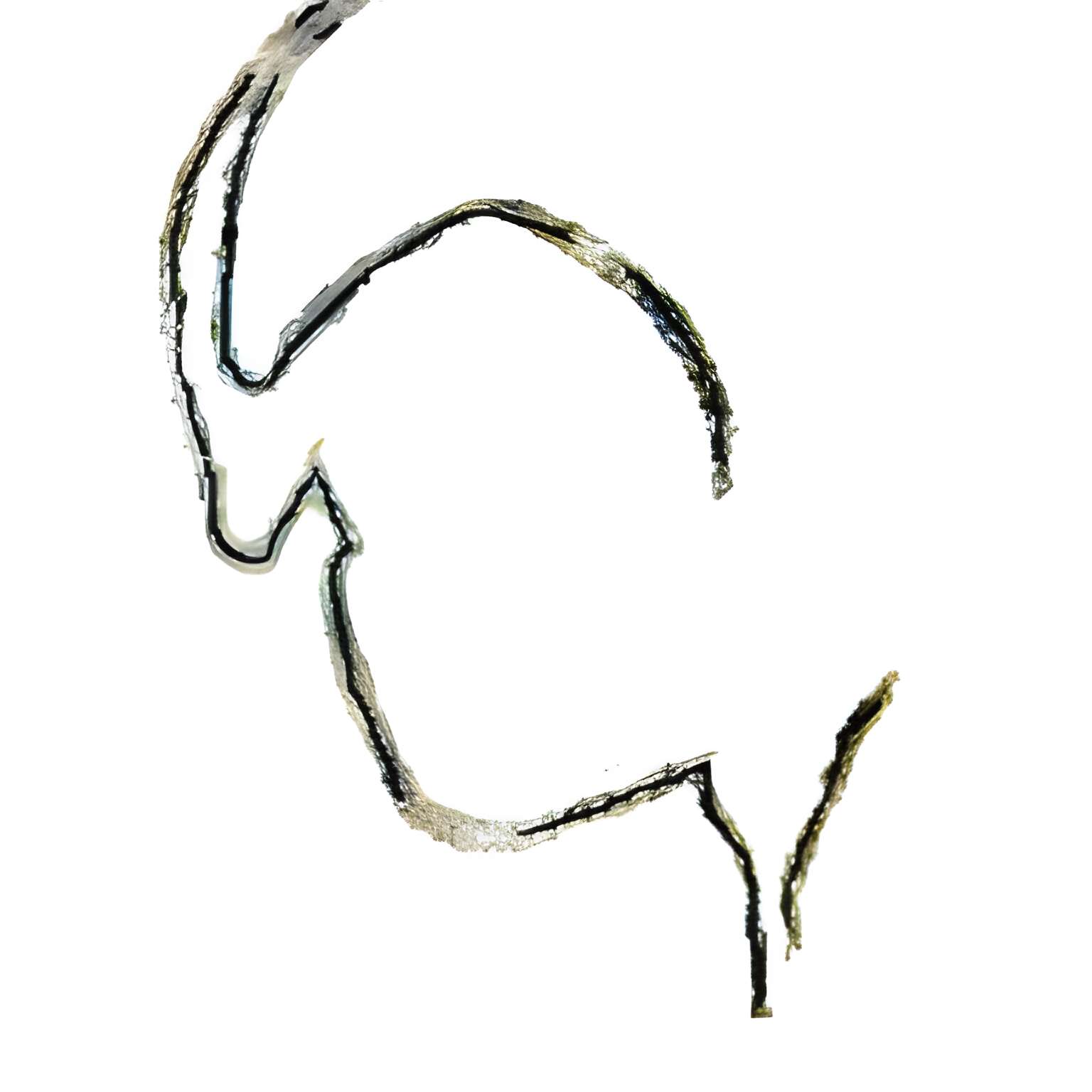 Grottes préhistoriques d'Arcy-sur-Cure