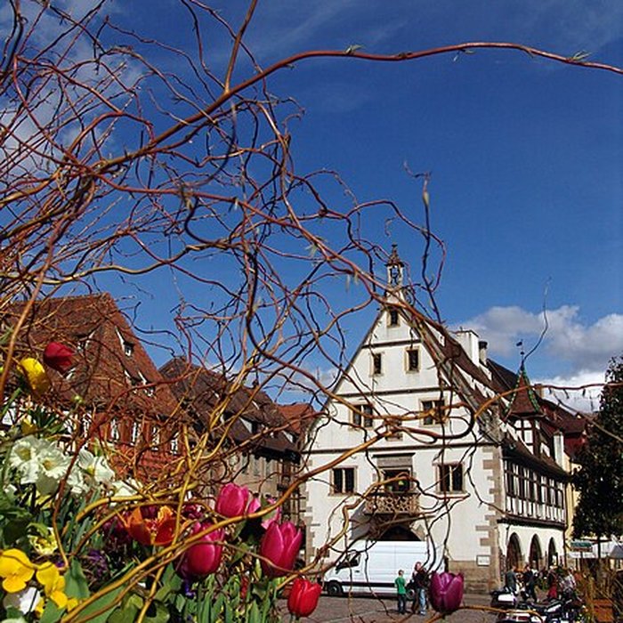 Photo de Halle aux blés dObernai
