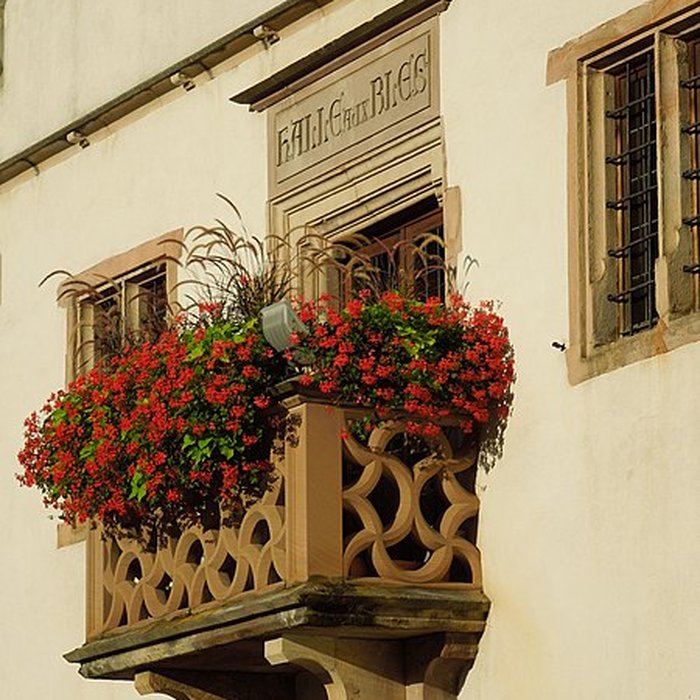 Photo de Halle aux blés dObernai