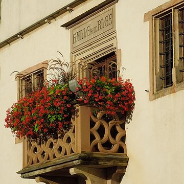 Halle aux blés dObernai