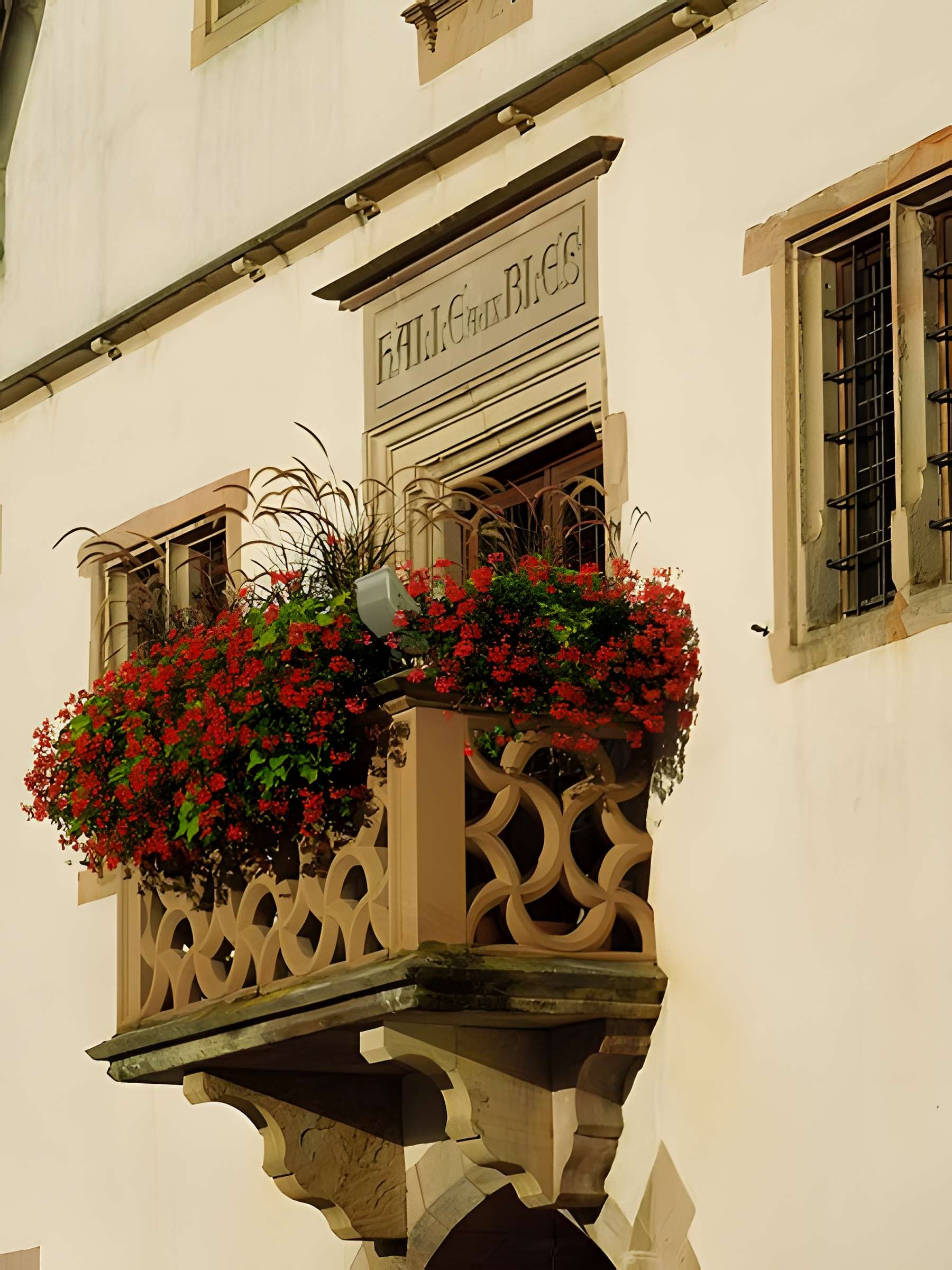 Halle aux blés d'Obernai